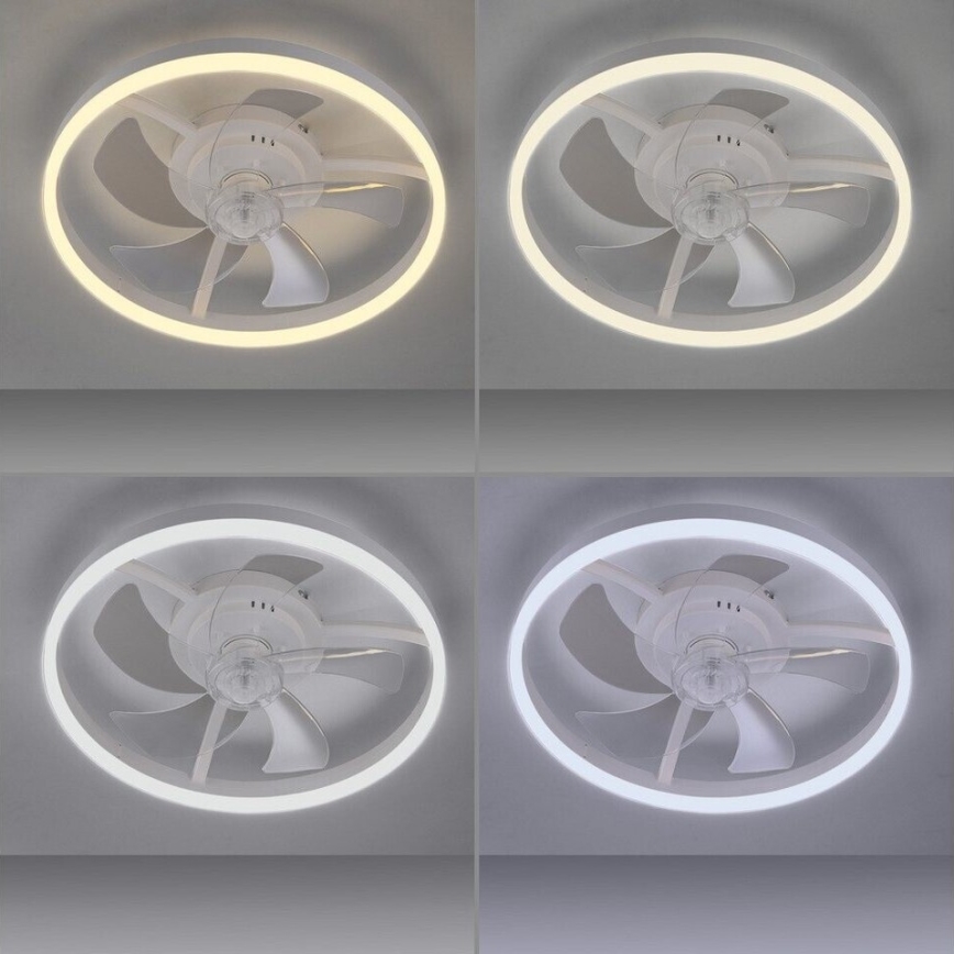 JUST LIGHT. 14624-16 - LED диммируемый потолочный вентилятор со светильником RITA LED/22W/230V 3000–6000K, диаметр 50 см, белый + пульт дистанционного управления