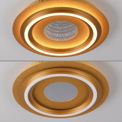 JUST LIGHT. 15089-60 - Светодиодный потолочный светильник CICHIO LED/36 Вт/230 В диаметр 40 см золотой