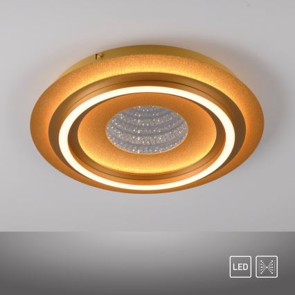 JUST LIGHT. 15089-60 - Светодиодный потолочный светильник CICHIO LED/36 Вт/230 В диаметр 40 см золотой