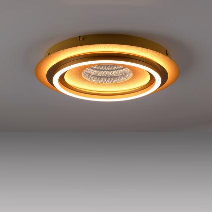 JUST LIGHT. 15089-60 - Светодиодный потолочный светильник CICHIO LED/36 Вт/230 В диаметр 40 см золотой