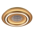 JUST LIGHT. 15089-60 - стельовий світильник CICHIO LED/36 Вт/230 В діаметром 40 см золотий