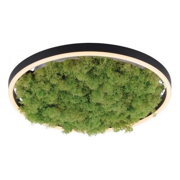 JUST LIGHT. 15391-66 - Светодиодный потолочный светильник с регулированием яркости GREEN RITU LED/20W/230V