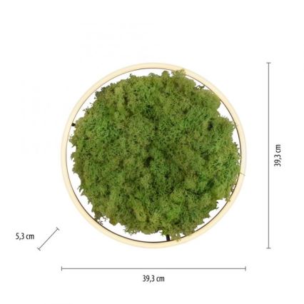 JUST LIGHT. 15391-66 - Светодиодный потолочный светильник с регулированием яркости GREEN RITU LED/20W/230V