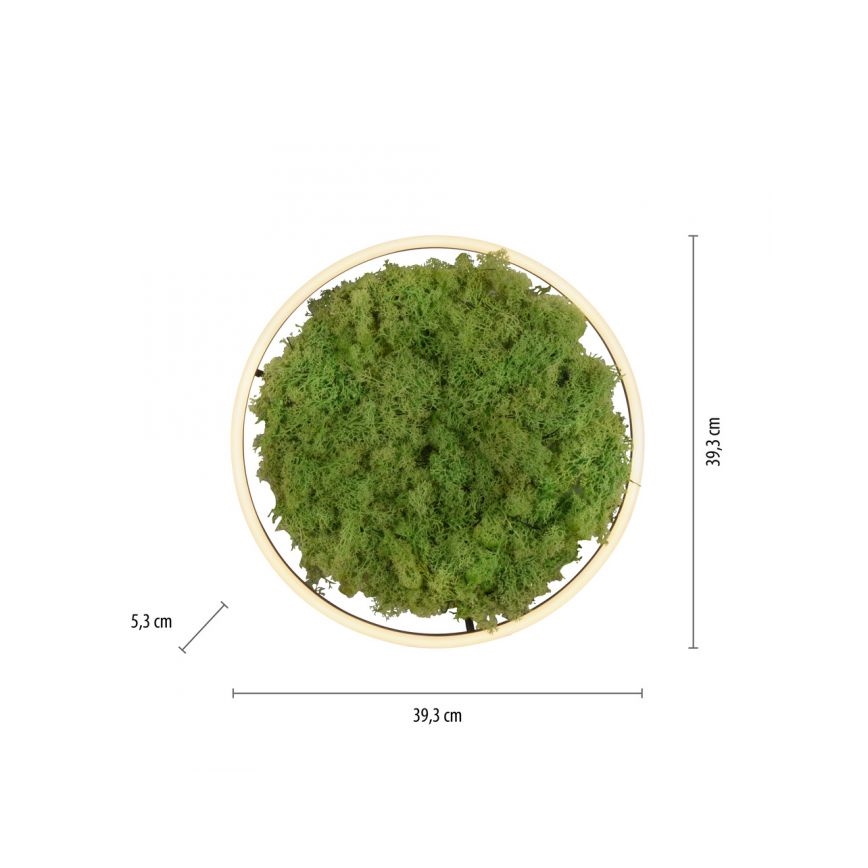 JUST LIGHT. 15391-66 - Светодиодный потолочный светильник с регулированием яркости GREEN RITU LED/20W/230V
