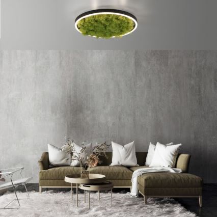 JUST LIGHT. 15391-66 - Світлодіодний стельовий світильник з регулюванням яскравості GREEN RITU LED/20W/230V