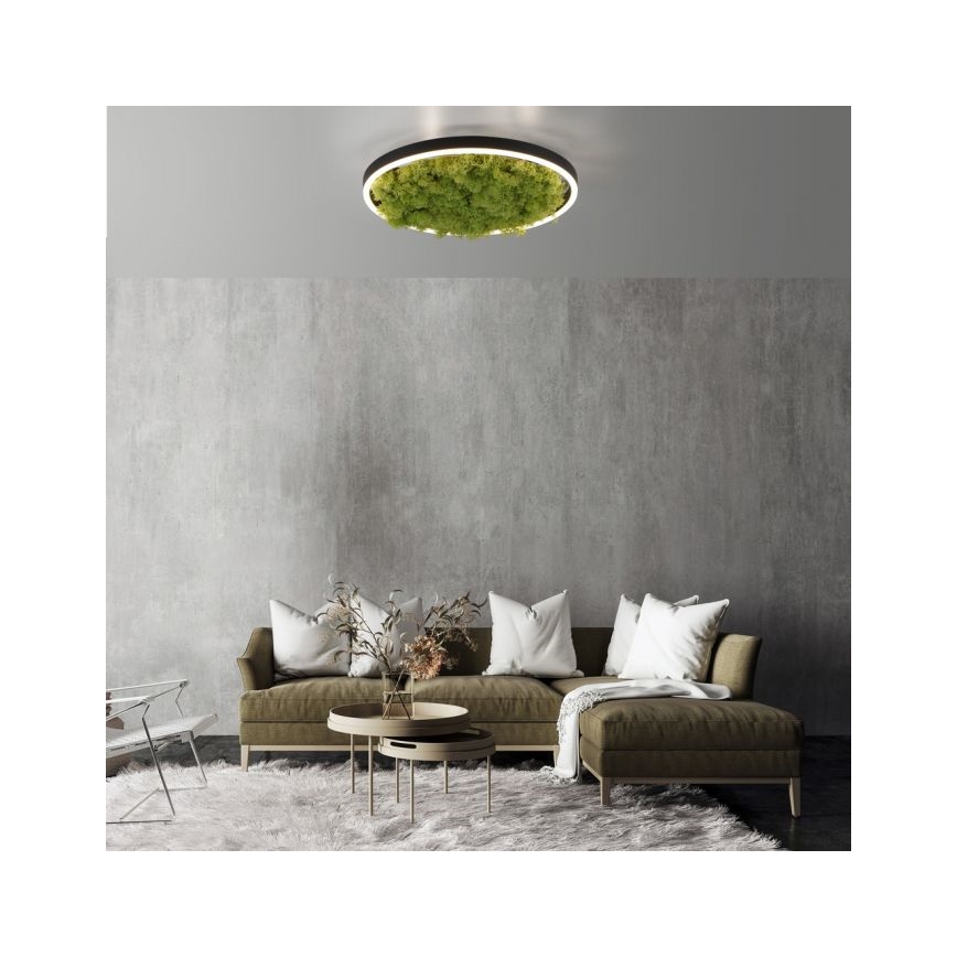 JUST LIGHT. 15391-66 - Світлодіодний стельовий світильник з регулюванням яскравості GREEN RITU LED/20W/230V