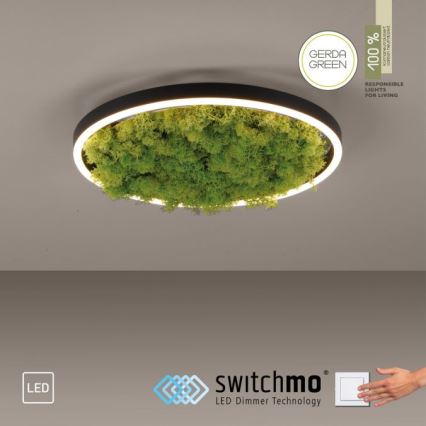 JUST LIGHT. 15391-66 - Світлодіодний стельовий світильник з регулюванням яскравості GREEN RITU LED/20W/230V