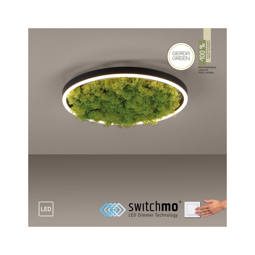 JUST LIGHT. 15391-66 - Світлодіодний стельовий світильник з регулюванням яскравості GREEN RITU LED/20W/230V