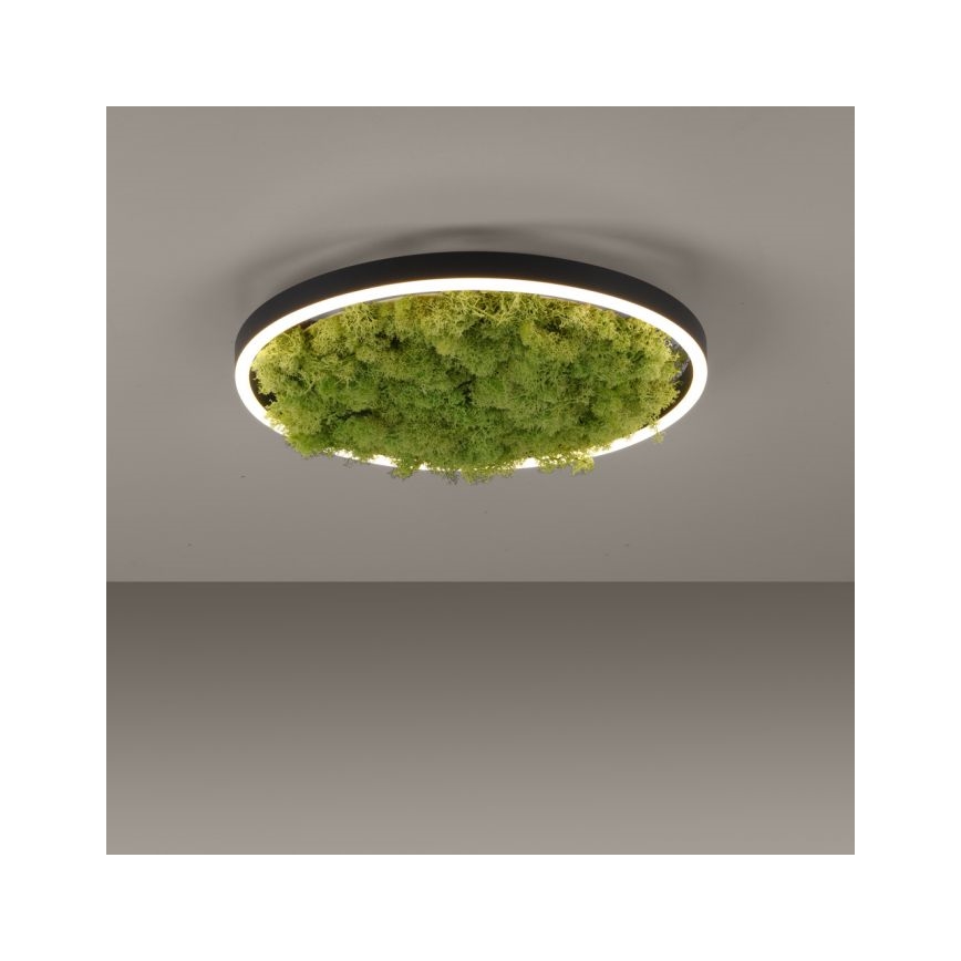 JUST LIGHT. 15391-66 - Світлодіодний стельовий світильник з регулюванням яскравості GREEN RITU LED/20W/230V