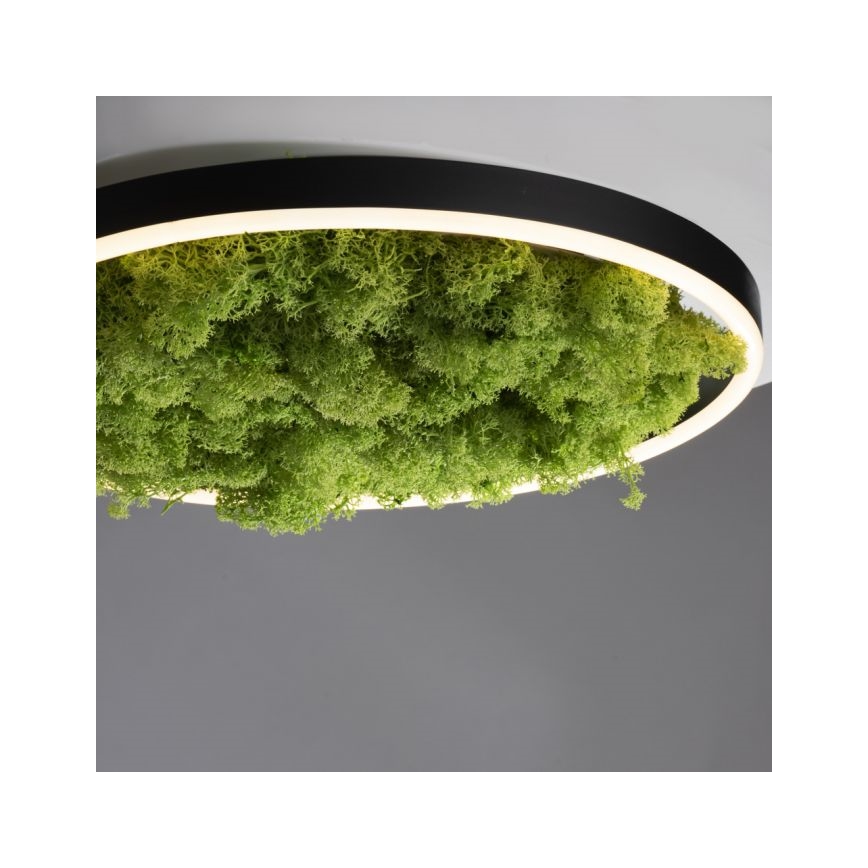 JUST LIGHT. 15391-66 - Світлодіодний стельовий світильник з регулюванням яскравості GREEN RITU LED/20W/230V