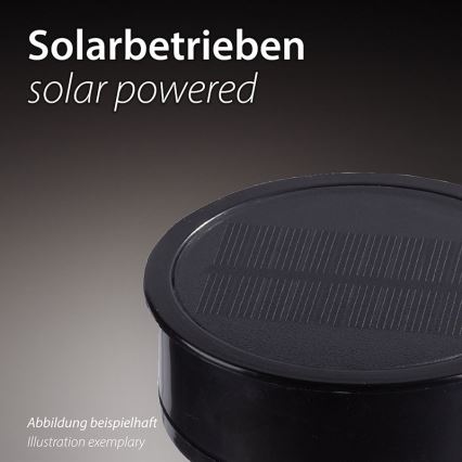 JUST LIGHT. 19106-18-3 - НАБІР 3x LED Сонячний світильник FACKEL LED/0,24W/1,2V 200 mAh IP44 чорний