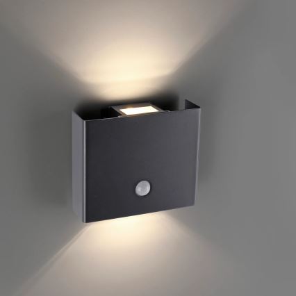 JUST LIGHT. 19471-18 - Уличный светодиодный настенный светильник с датчиком AMIN 2xLED/1,25W/3,7V 4400mAh IP44 черный