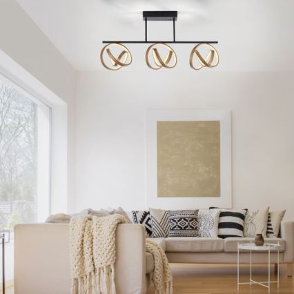 JUST LIGHT. 6245-18 - Пристельова LED люстра з регулюванням яскравості LOOP 3xLED/11W/230V 2700-5000K + пульт дистанційного керування