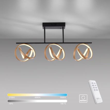 JUST LIGHT. 6245-18 - Пристельова LED люстра з регулюванням яскравості LOOP 3xLED/11W/230V 2700-5000K + пульт дистанційного керування