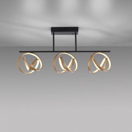 JUST LIGHT. 6245-18 - Пристельова LED люстра з регулюванням яскравості LOOP 3xLED/11W/230V 2700-5000K + пульт дистанційного керування
