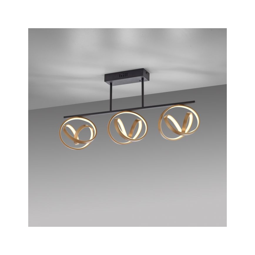 JUST LIGHT. 6245-18 - Светодиодная припотолочная люстра с регулированием яркости LOOP 3xLED/11W/230V 2700-5000K + дистанционное управление