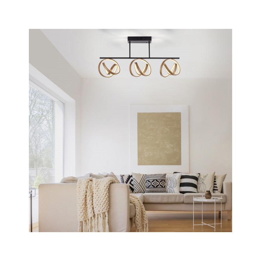 JUST LIGHT. 6245-18 - Светодиодная припотолочная люстра с регулированием яркости LOOP 3xLED/11W/230V 2700-5000K + дистанционное управление