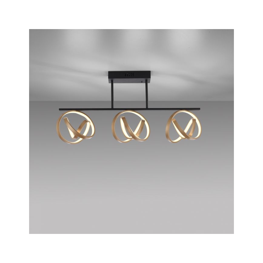 JUST LIGHT. 6245-18 - Светодиодная припотолочная люстра с регулированием яркости LOOP 3xLED/11W/230V 2700-5000K + дистанционное управление