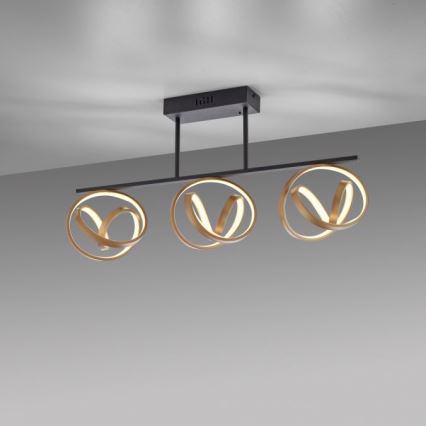 JUST LIGHT. 6245-18 - Светодиодная припотолочная люстра с регулированием яркости LOOP 3xLED/11W/230V 2700-5000K + дистанционное управление