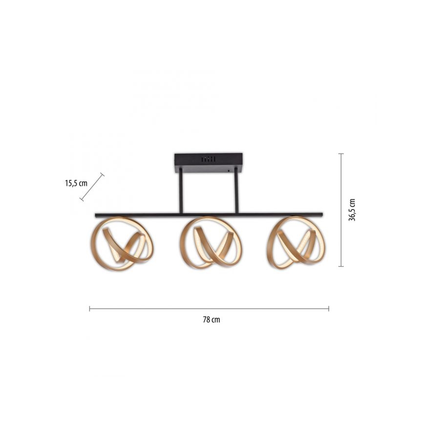 JUST LIGHT. 6245-18 - Светодиодная припотолочная люстра с регулированием яркости LOOP 3xLED/11W/230V 2700-5000K + дистанционное управление