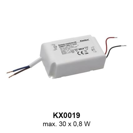 LED орієнтаційний світильник LED/0,8W/12V