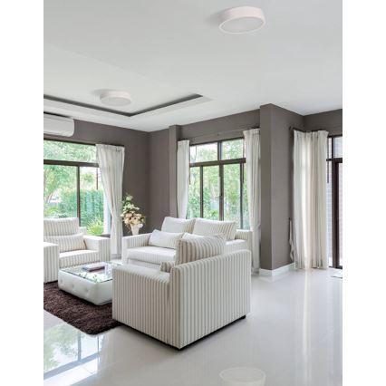 Потолочный светильник JASMIN 1xE27/20W/230V диаметр 27,5 см белый дуб