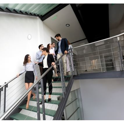 Світильник стельовий/підвісний LED з датчиком руху 2в1 ERGA LED/17W/230V 3000/4000/6500K чорний