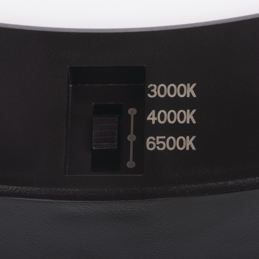 Світильник стельовий/підвісний LED з датчиком руху 2в1 ERGA LED/17W/230V 3000/4000/6500K чорний