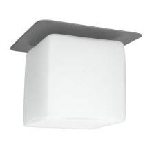 Kanlux 2896 - Встраиваемый светильник для подвесного потолка 1xG4/35W/12V квадратный