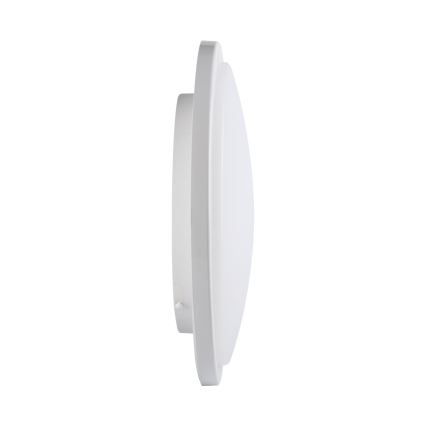 Светодиодный потолочный светильник для ванной комнаты ORTE LED/24W/230V IP54