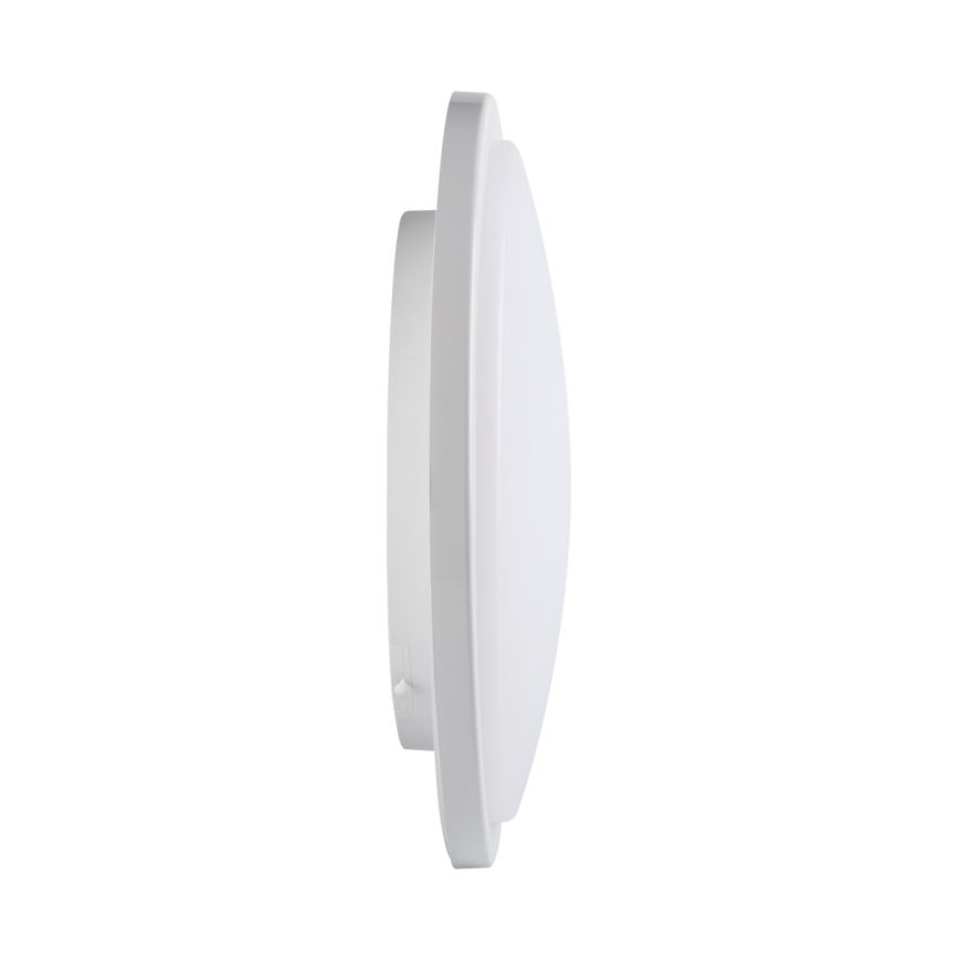 Светодиодный потолочный светильник для ванной комнаты ORTE LED/24W/230V IP54