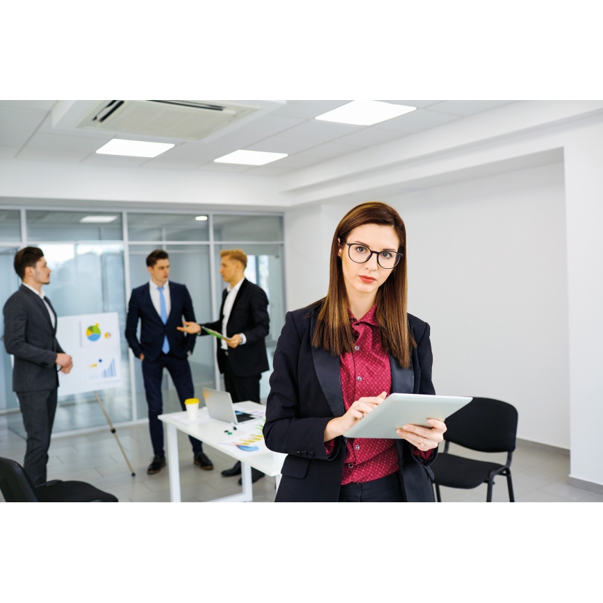 Светодиодная припотолочная панель BAREV LED/40W/230V 4000K 120x30 см