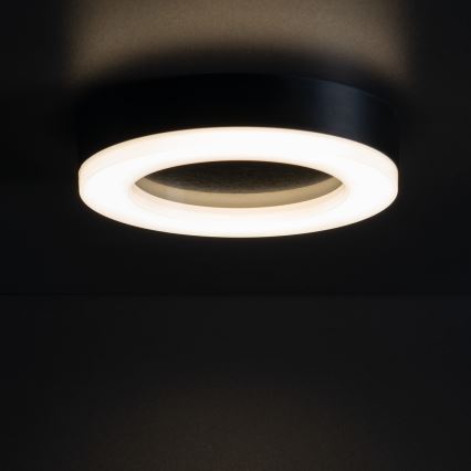Светодиодный уличный потолочный светильник TURA LED/24W/230V 4000K IP54 черный