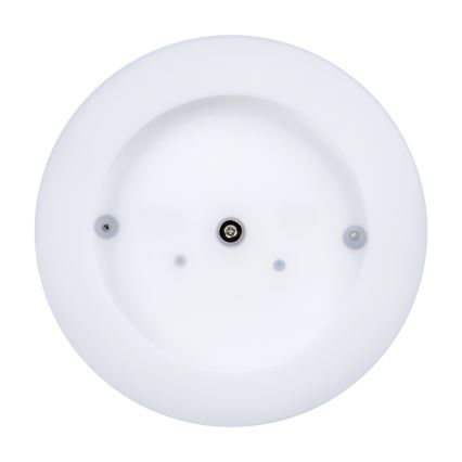 Светодиодный уличный потолочный светильник TURA LED/24W/230V 4000K IP54 черный