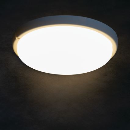 Світлодіодний стельовий світильник для ванної кімнати TOLU LED/18W/230V 4000K IP54 білий