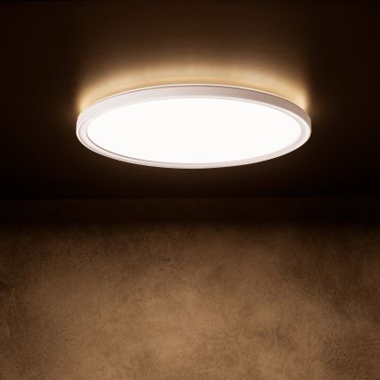 LED стельовий світильник AZPO LED/18,5W/230V 3000/4000/6000K Ø 29 cm IP54 білий