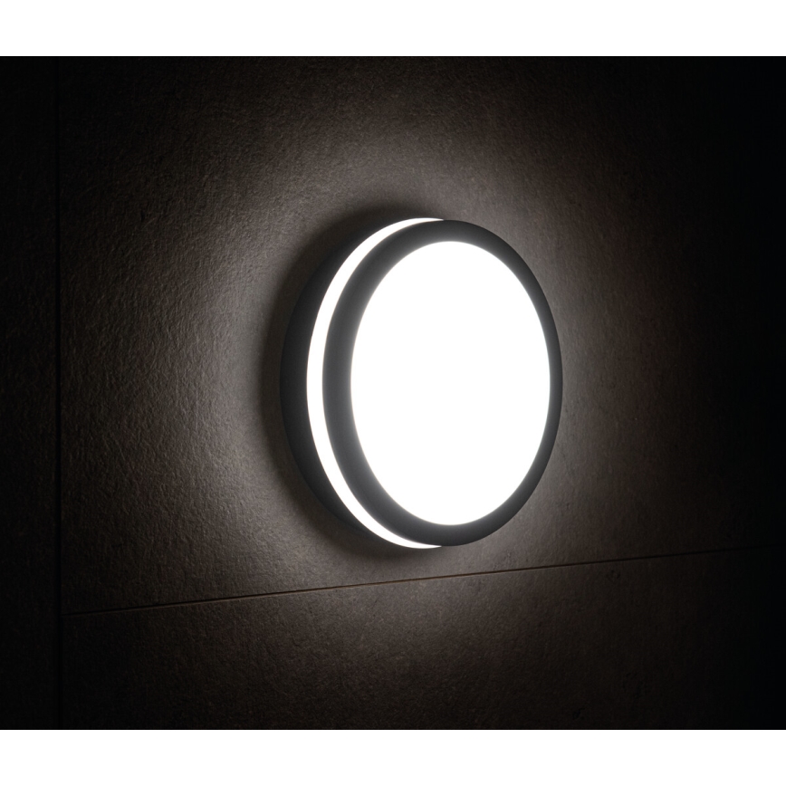 Светодиодный уличный светильник с датчиком BENO LED/18W/230V 4000K антрацит IP54