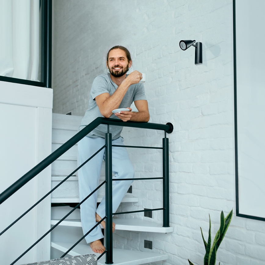 LED Світильник для підсвітки сходів ERINUS LED/0,8W/12V 4000K чорний