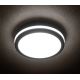 Світлодіодний вуличний світильник BENO LED/24W/230V IP54 сіра