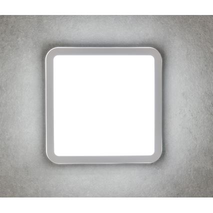 Светодиодный уличный светильник BENO LED/24W/230V 4000K белый IP54