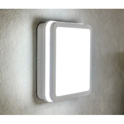 Светодиодный уличный светильник BENO LED/24W/230V 4000K белый IP54