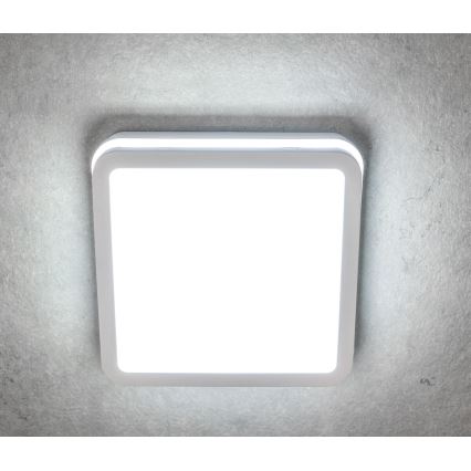 Светодиодный уличный светильник BENO LED/24W/230V 4000K белый IP54