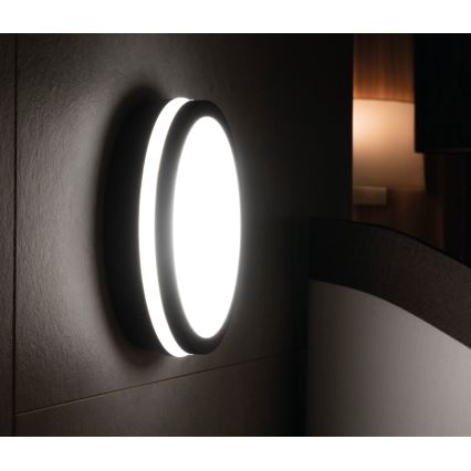 Вуличний світлодіодний світильник з датчиком BENO LED/24W/230V 4000K антрацит IP54
