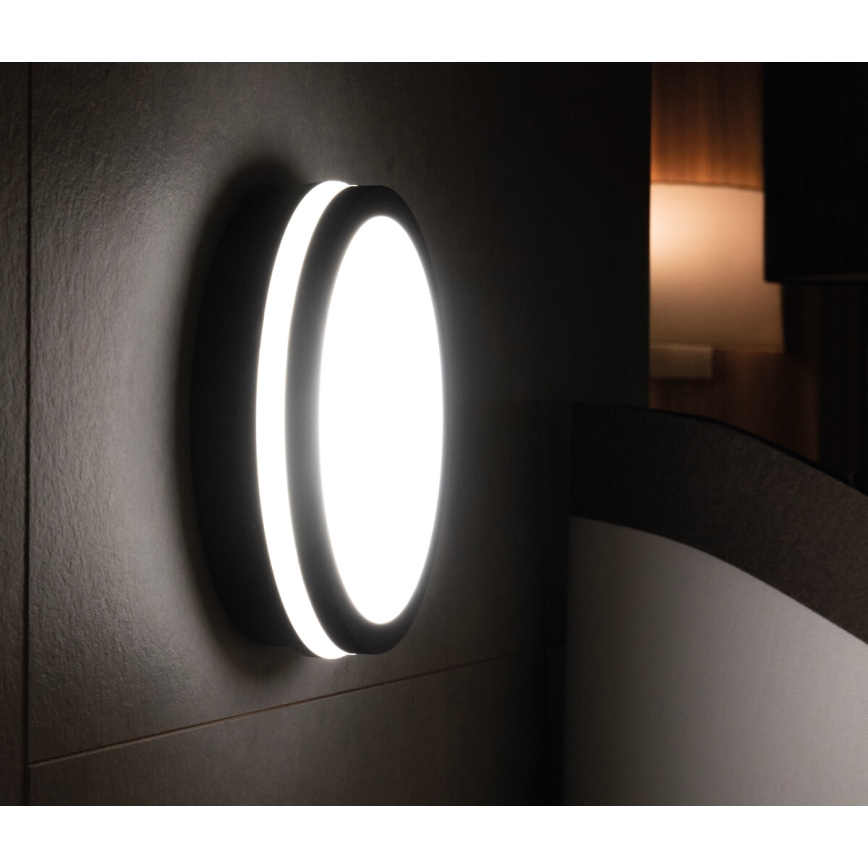 Вуличний світлодіодний світильник з датчиком BENO LED/24W/230V 4000K антрацит IP54