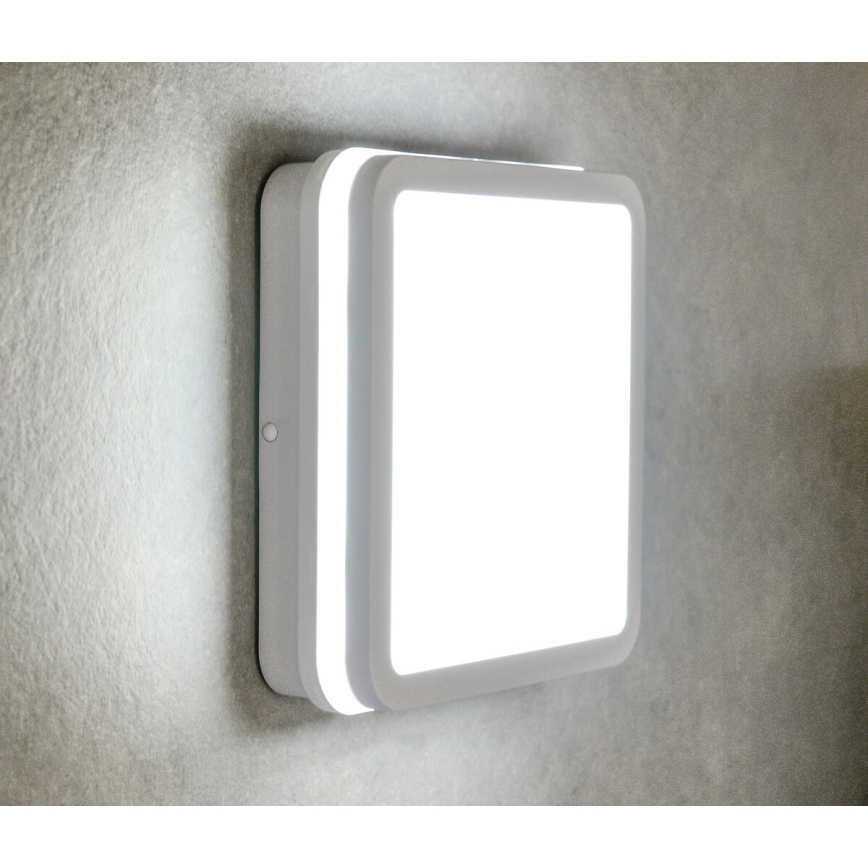 Светодиодный уличный потолочный светильник с датчиком BENO LED/24W/230V 4000K белый IP54