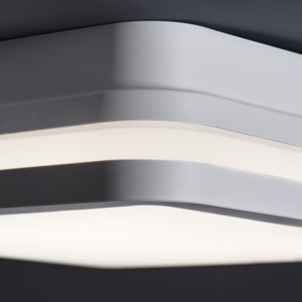 Светодиодный уличный потолочный светильник с датчиком BENO LED/24W/230V 4000K белый IP54