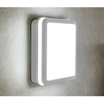 Вуличний світлодіодний світильник з датчиком BENO LED/24W/230V IP54 біла