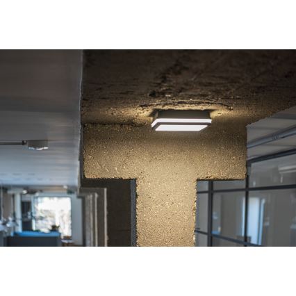 Светодиодный уличный потолочный светильник с датчиком BENO LED/24W/230V 4000K антрацит IP54