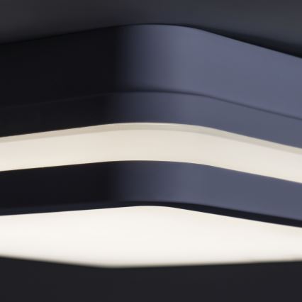 Светодиодный уличный потолочный светильник с датчиком BENO LED/24W/230V 4000K антрацит IP54