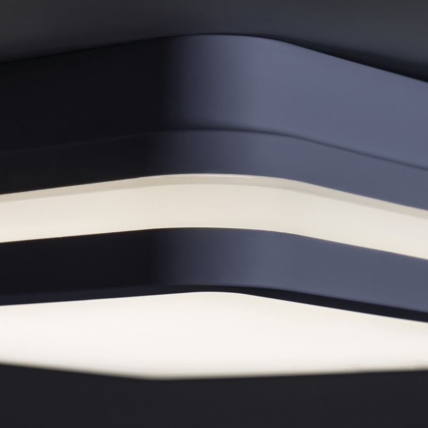 Светодиодный уличный потолочный светильник с датчиком BENO LED/24W/230V 4000K антрацит IP54
